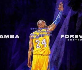 球友体育下载-德甲2025赛季终局，拜仁慕尼黑铸就历史级统治，勒沃库森坚韧捍卫次席